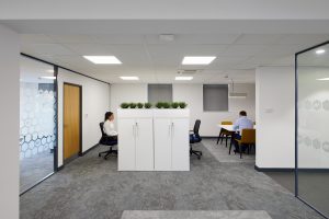 an office room with plants and a couple of people sitting at a table