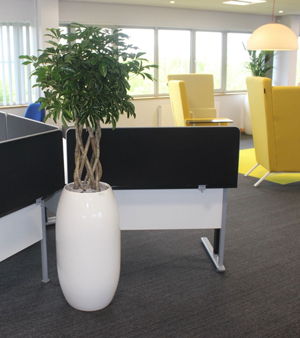 Plastribution's interior designed by Accent Office