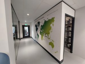 MANE Ltd interior designed by Accent Office