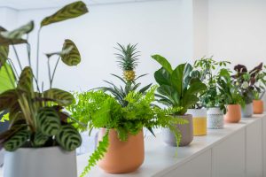 Planning & Design Group interior designed by Accent Office