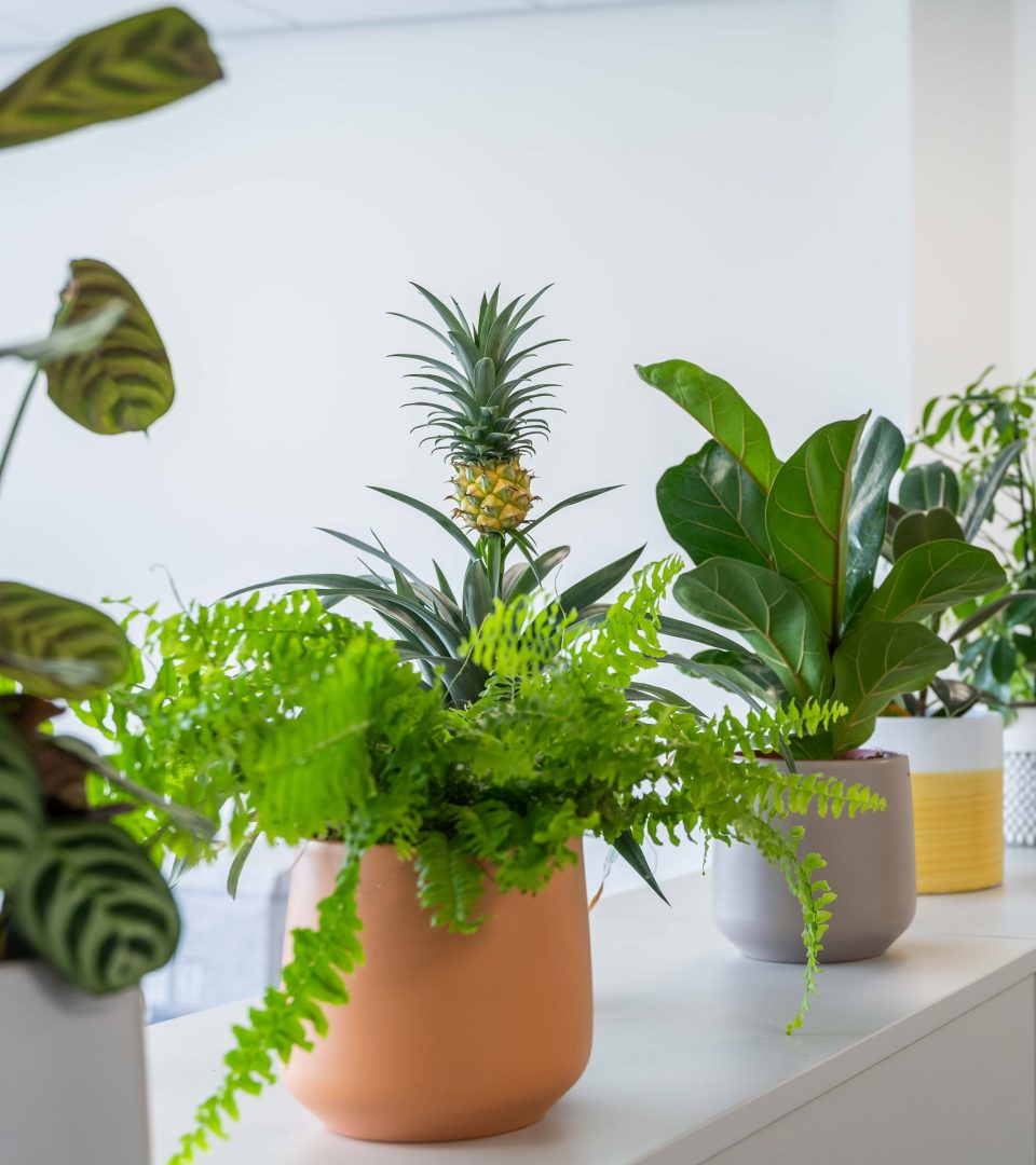 Planning & Design Group interior designed by Accent Office